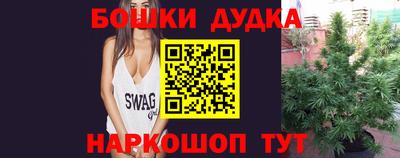 молекула духа Будённовск