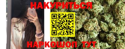 молекула духа Будённовск
