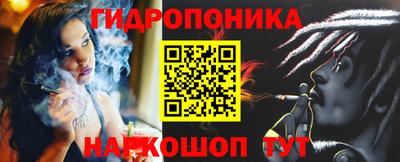 молекула духа Будённовск