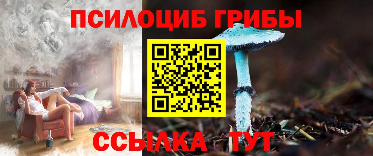 Галлюциногенные грибы Magic Shrooms  Галлюциногенные грибы Magic Shrooms  Вход с VPN  Краснокаменск 