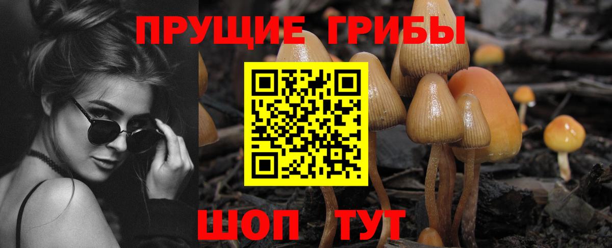 Псилоцибиновые грибы GOLDEN TEACHER Краснокаменск